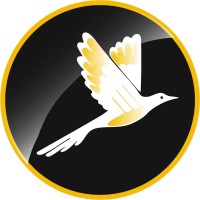 RapidAir Systems logo - Similar company to Rapid Air Hvac