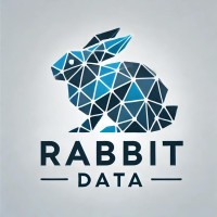 RabbIT Data logo - Similar company to Dataminds A/S