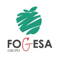 Grupo FOGESA logo - Similar company to Libra Gestión De Proyectos