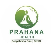 Prahana Health | Diabetes, BP, Cholesterol & Arthritis Management through Food as Medicine logo - Similar company to Bemonk Wellness