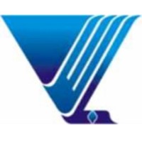 VEL IT Solution logo - Similar company to Velit Solutions Pty Ltd