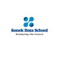 Sonek Data School logo - Similar company to Luxdevhq