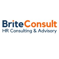 Brite Consulting logo - Similar company to Brite Consulting