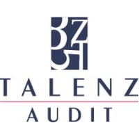 TALENZ AUDIT logo - Similar company to Hes Expert
