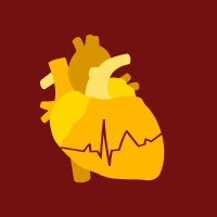 Healthcare Preparatory Club logo - Similar company to Leadyouth Education