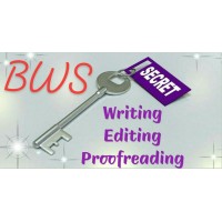 Brilliant Writing Services logo - Similar company to Tsaks Consulting - The Tender Team