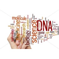 Clinical And Translational Genome Research Institute, Inc.