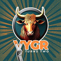Vygr logo - Similar company to Spidy Vlogs (Mba Interviews)