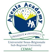 Institut Universitaire Sous-Régional Bilingue (Agenla Academy) logo - Similar company to Software In Time