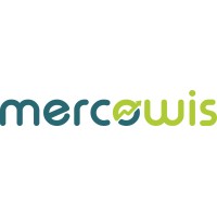 Mercowis Solutions logo - Similar company to Datamate Info Solution