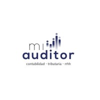 Mi Auditor logo - Similar company to Coding Chickens
