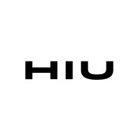 Hiu Technologies logo - Similar company to Bdtech