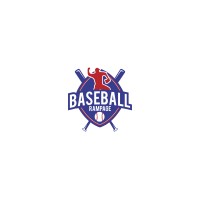 Baseball Rampage logo - Similar company to Striketec Baseball