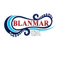 BLANMAR SARL logo - Similar company to Ovo-Tech