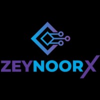 ZeynoorX.ai logo - Similar company to Tier5 Solutions