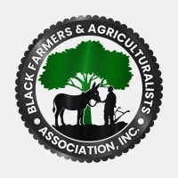The Black Farmers And Agriculturalists Association Inc logo - Similar company to Black Farmers Index