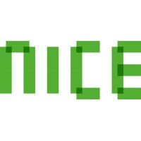 NICE Developers logo - Similar company to Studio-Relinkt