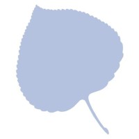 Aspenia online logo - Similar company to Salam Centre مركز سلام