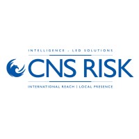 CNS Risk logo - Similar company to Redwing Networks