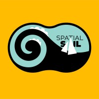 Spatial Sail logo - Similar company to Cronos Interactive