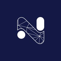 Nelscape. logo - Similar company to Technite Solution