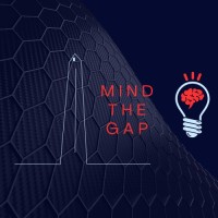 Mind The Gap logo - Similar company to Opendev