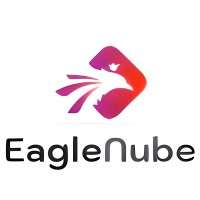 EagleNube logo - Similar company to Qualki