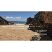 D6ZIF Conseil logo - Similar company to Danatech.