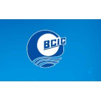 Tianjin Bohai Chemical Industry Group Supply And Sales Company logo - Similar company to D5In Global - A Digital Sales Company