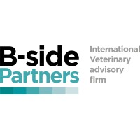 B-side Partners logo - Similar company to Soltea Energie Service