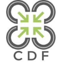 CDF Centro distribuzione del farmaco SpA logo - Similar company to Bison Plast Srl