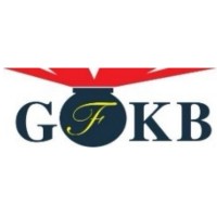 GFKB Gesellschaft für Kampfmittelbeseitigung mbH M/V logo - Similar company to Eod Munitionsbergung