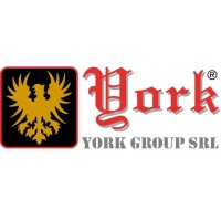 York Group Srl logo - Similar company to Bicshield®