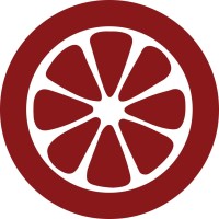 Redlime Solutions logo - Similar company to Tygrlabs