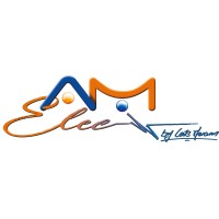 AM Elec logo - Similar company to E-Solus