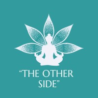 The Other Side logo - Similar company to Phlotainment