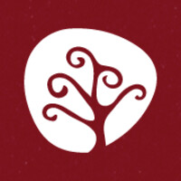 Kosovalive360