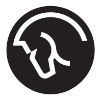 Raimon Group logo - Similar company to Sadaf Kavir Industrial Co. شرکت صنعتی صدف کویر