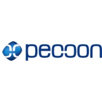 peccon logo - Similar company to Pitbau Ingenieure Gmbh