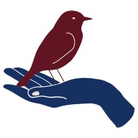 Ascend Counseling & Wellness