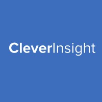 CleverInsight logo - Similar company to Data Artisan
