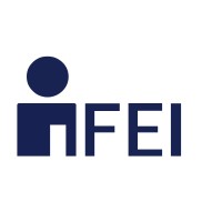 FEI - Fomento de Estudios Internacionales