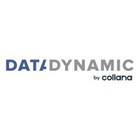 Data Dynamic AG logo - Similar company to Data Dynamics