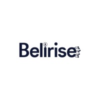 Belirise logo - Similar company to Platypusbox