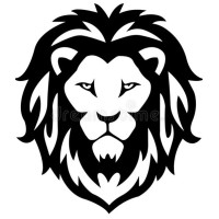 Web Kings