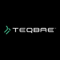 Teqbae logo - Similar company to Plan.Net Technest India