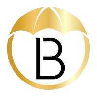 Bezaleel Consulting Group logo - Similar company to Bezaleelconsulting