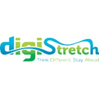 Digistretch Solution Private Limited logo - Similar company to Ethics Solution