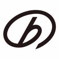 BSB Europe (BROAD Group) logo - Similar company to Bcore Digital 远大芯建数字科技有限公司