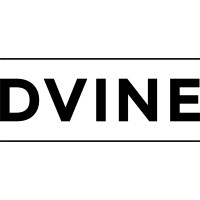 Dvine Smart Homes logo - Similar company to Colux
